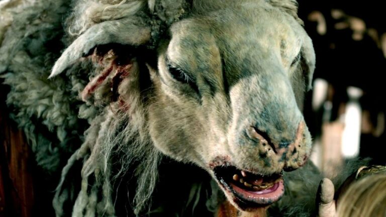 Black Sheeps için ilk görüntü Sitges’te